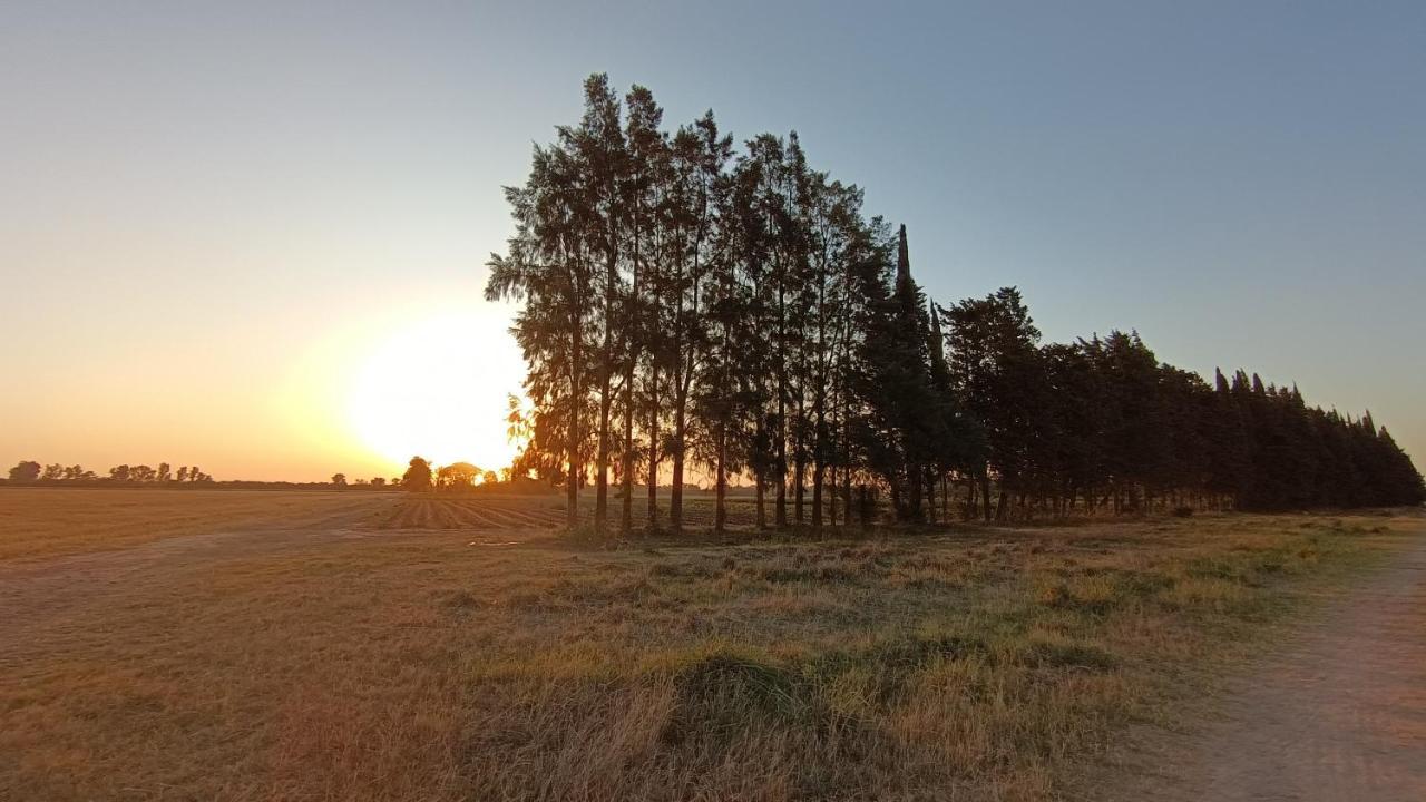 圣佩德罗La Quinta De Loli别墅 外观 照片